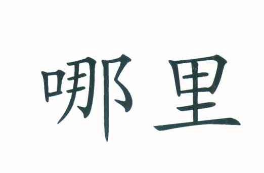 哪里