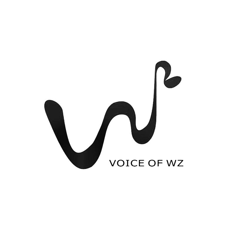 VOICE OF WZ