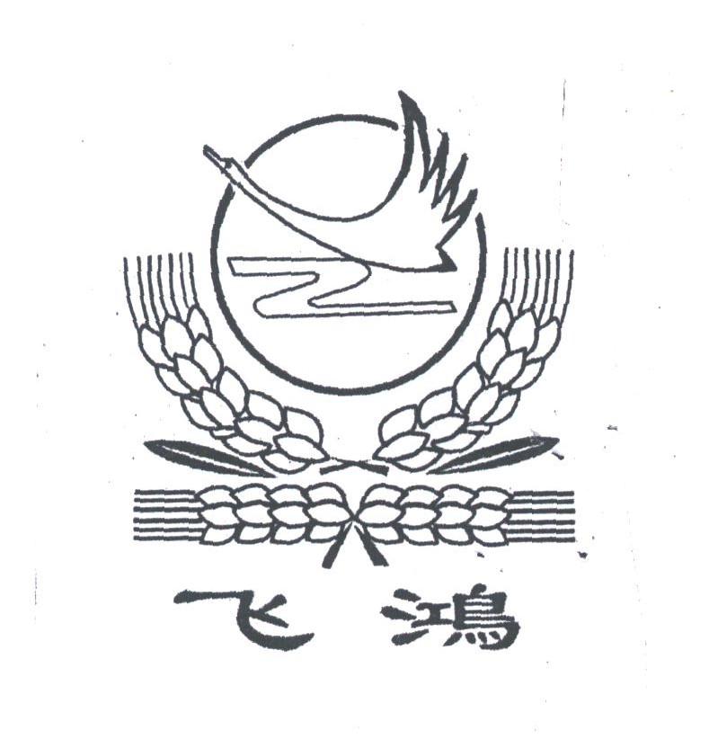 飞鸿