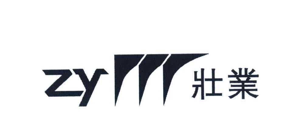 壮业 ZY