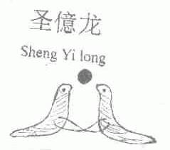 圣亿龙