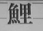 鲤