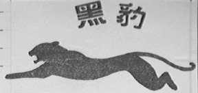 黑豹