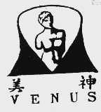 美神  VENUS