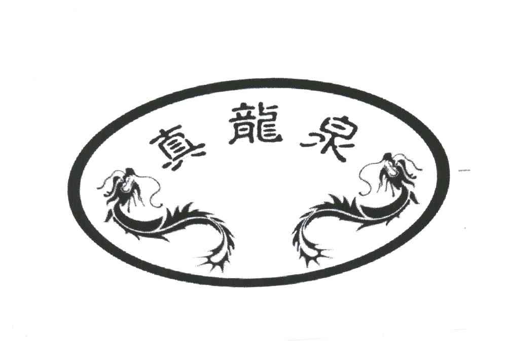 真龙泉