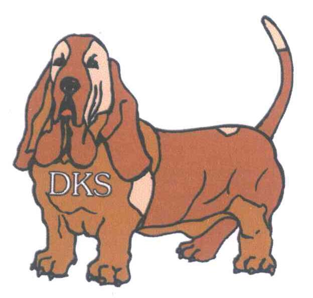 DKS