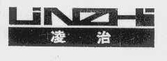 凌治 LINZHI