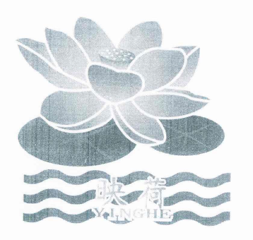 映荷