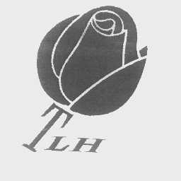 TLH