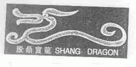 殷鼎宝龙;SHANG DRAGON