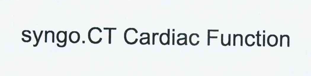 SYNGO.CT CARDIAC FUNCTION