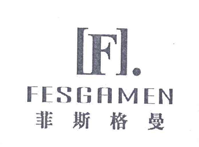 菲斯格曼;FESGAMEN;F