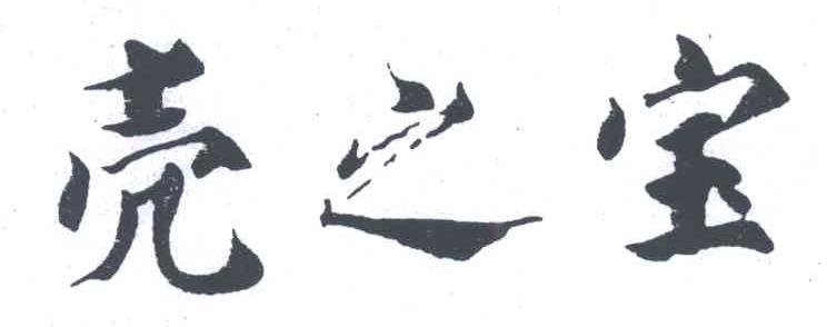 壳之宝