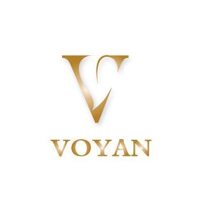 VOYAN V