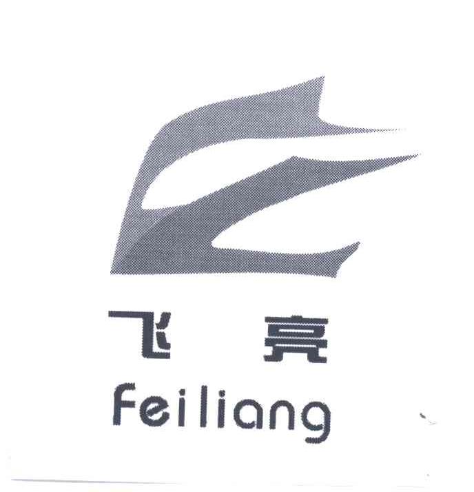 飞亮