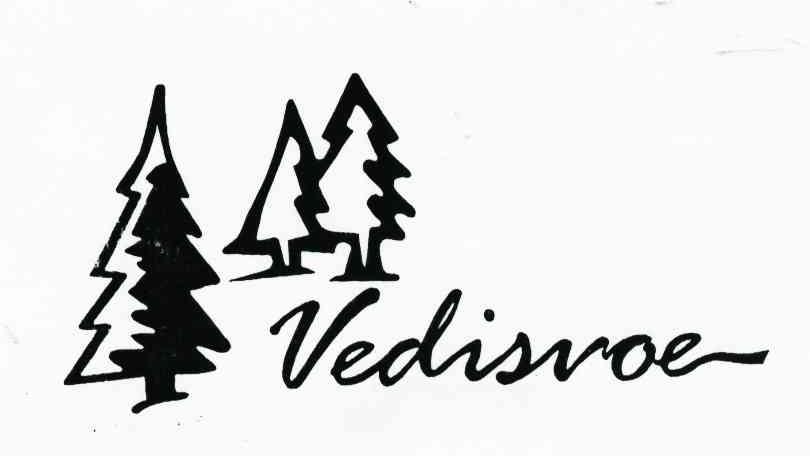 VEDISVOE
