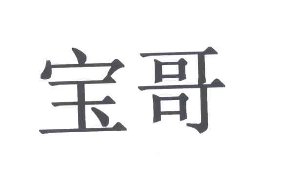宝哥