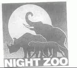 NIGHT ZOO