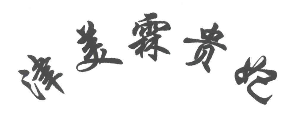 津美霖贵妃