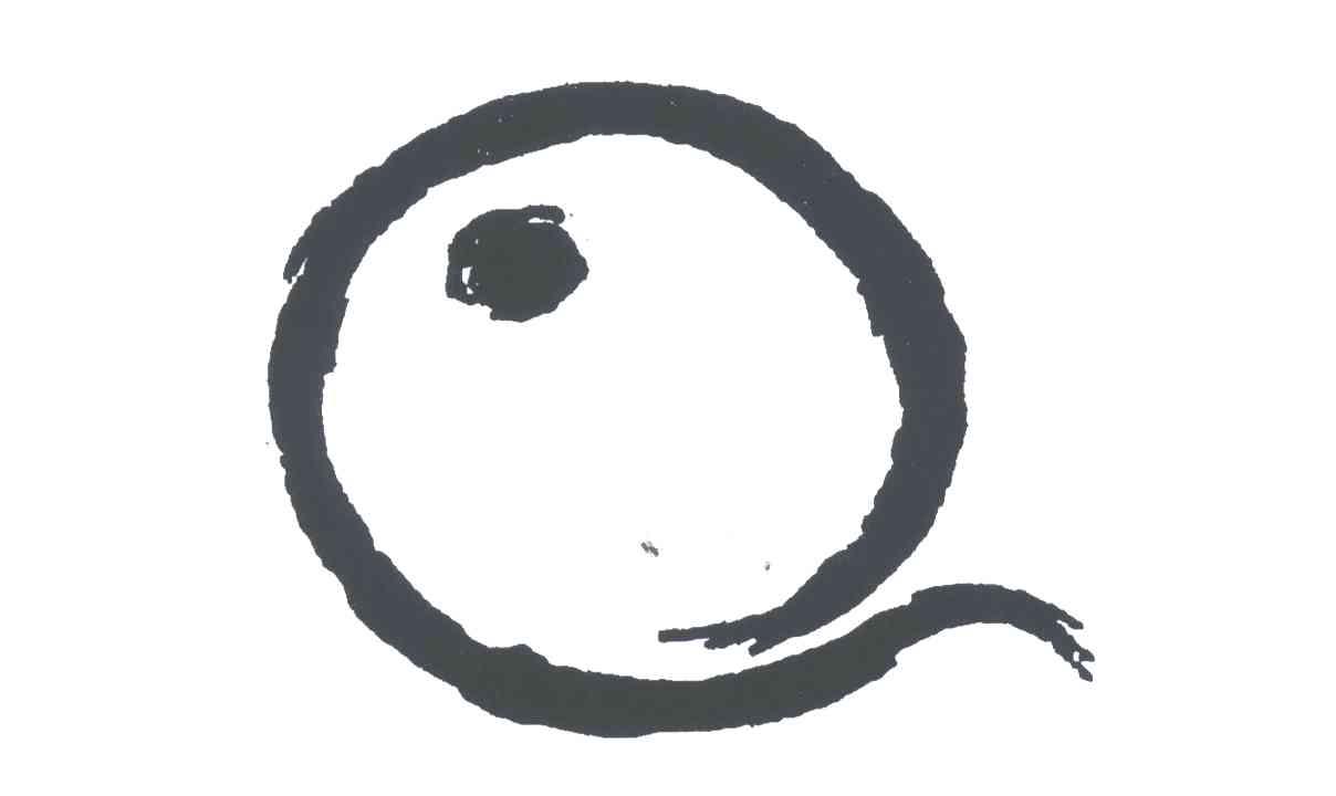 图形