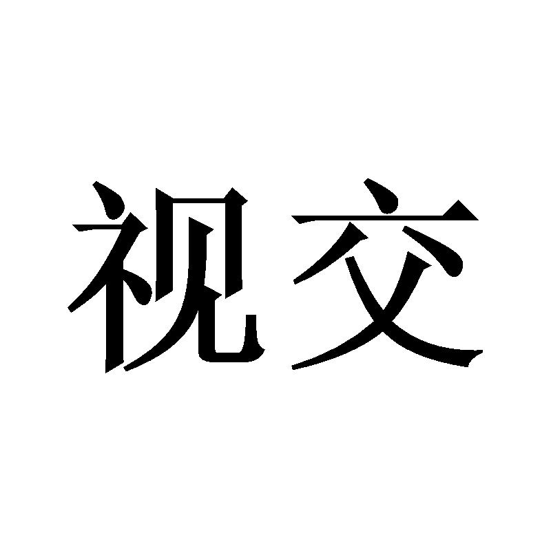 视交