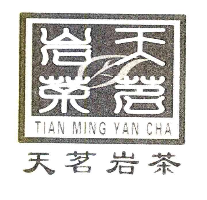 天茗岩茶