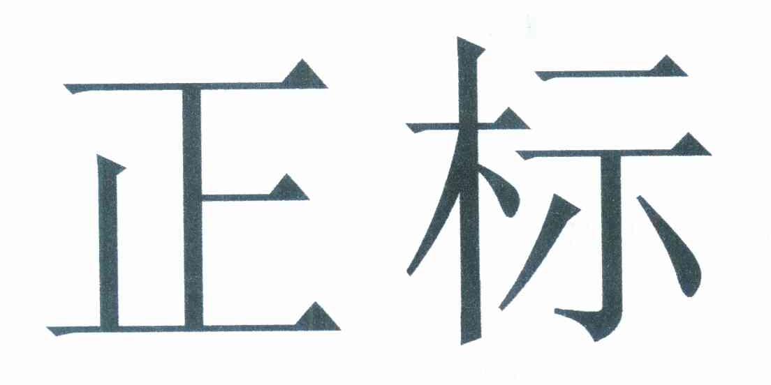 正标