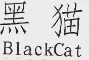 黑猫  BLACKCAT