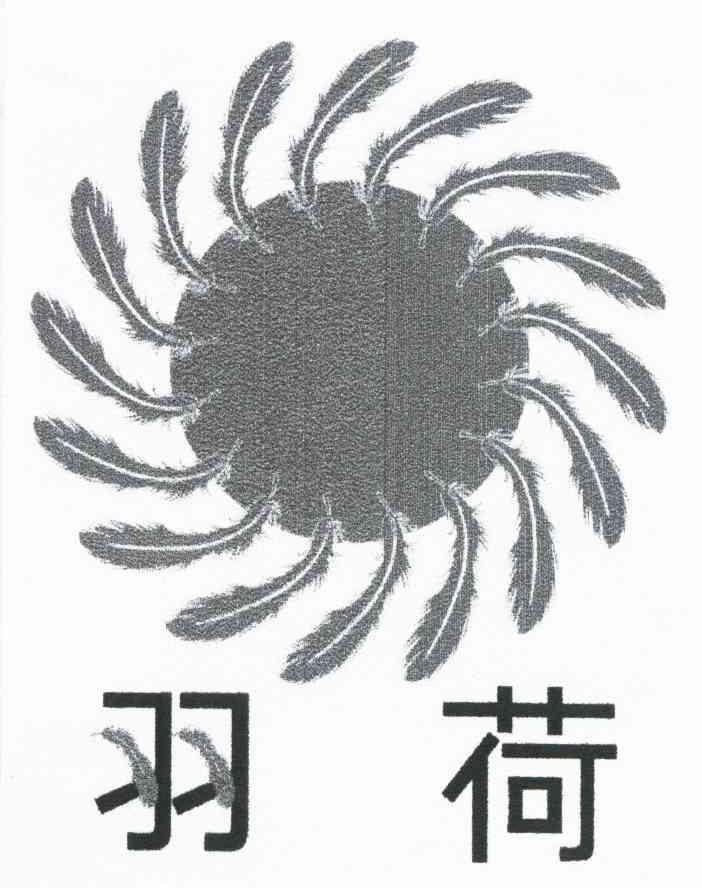 羽荷