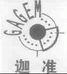 迦准;GA AEM