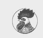上山