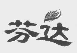 芬达