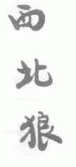 西北狼