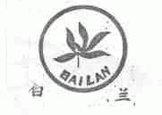 白兰