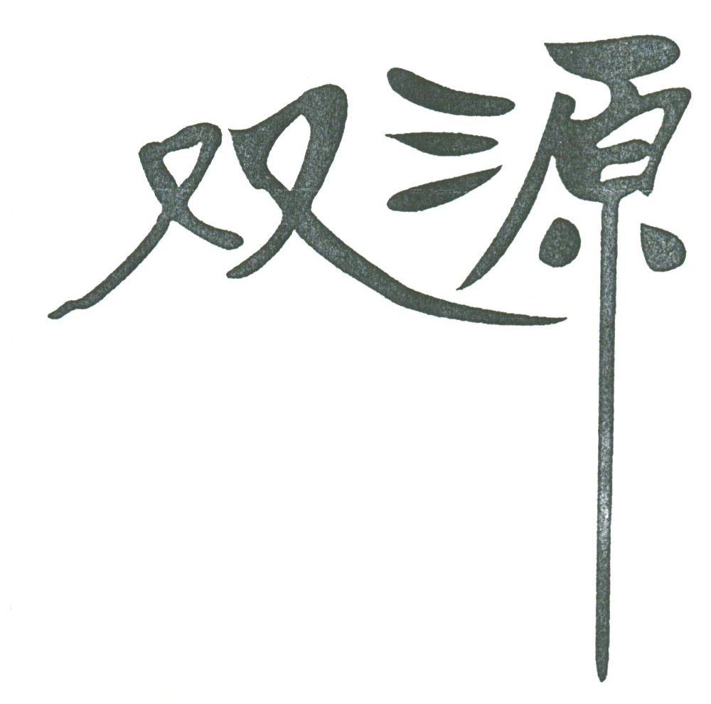 双源