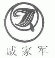 戚家军