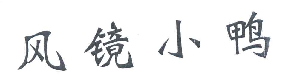 风镜小鸭