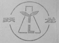 跃龙
