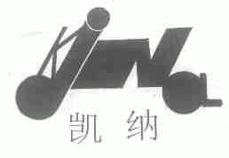 凯纳;KINA