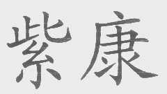 紫康
