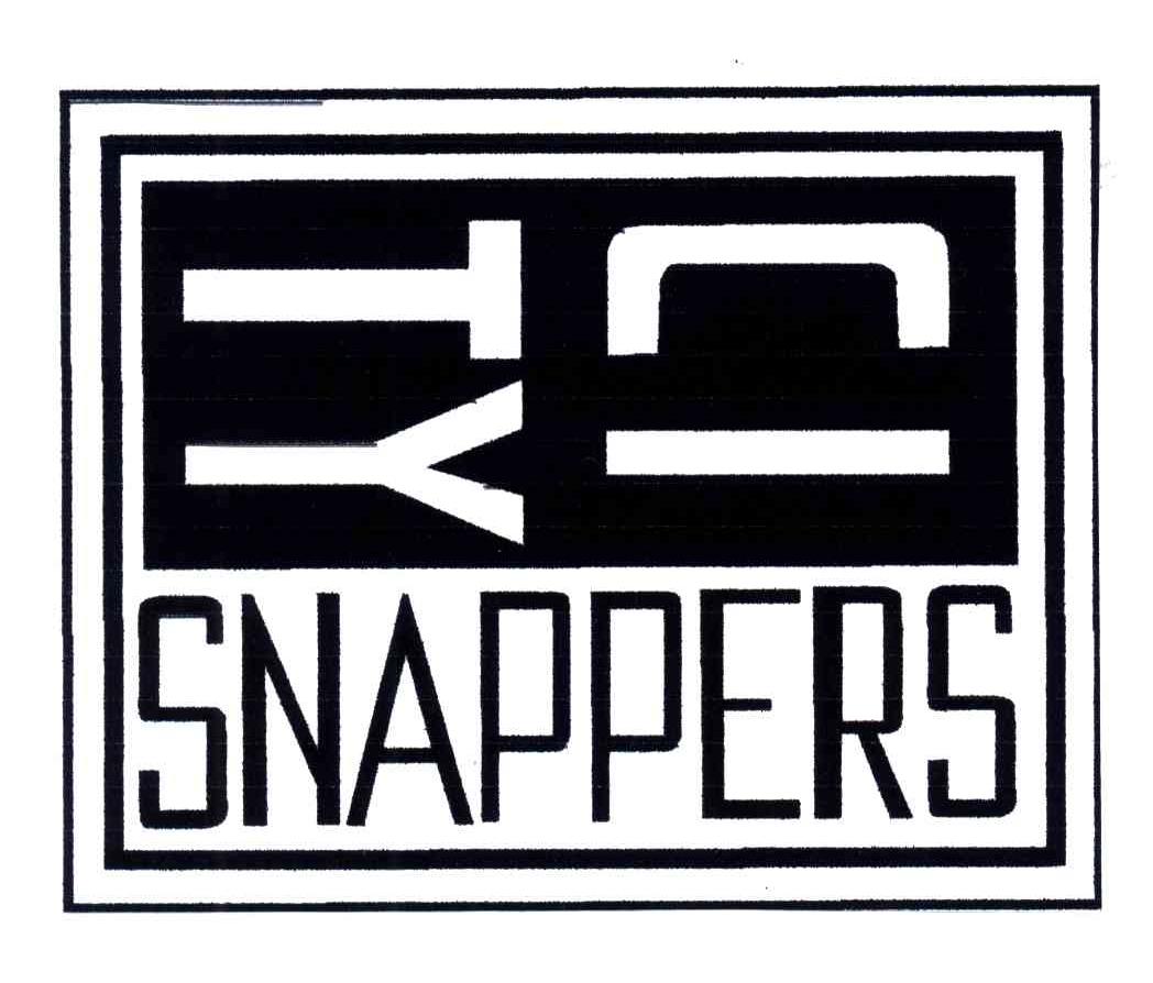 CITY SNAPPERS