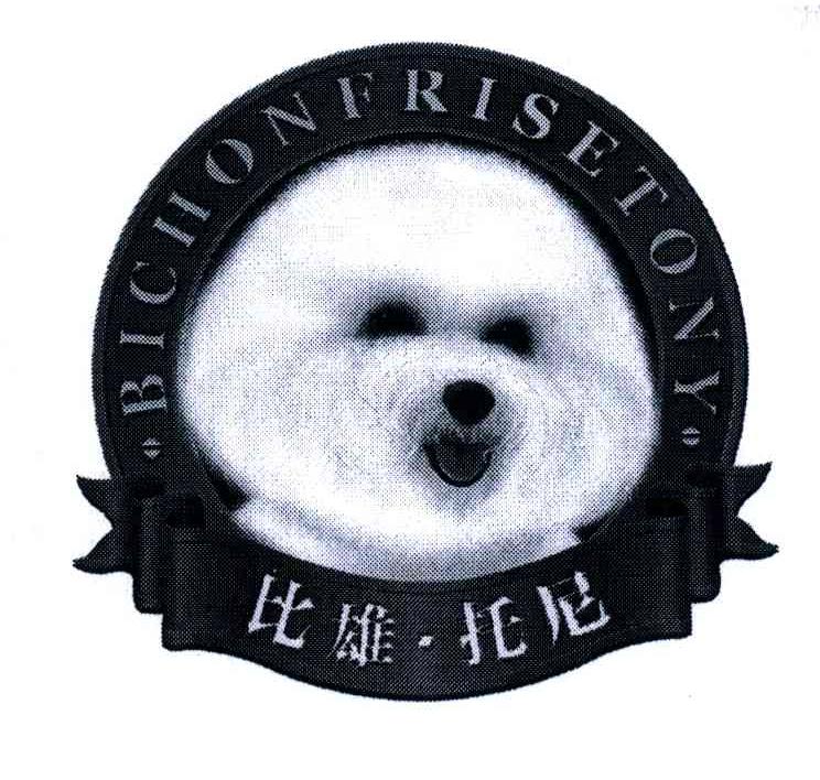 比雄托尼;BICHONFRISETONY