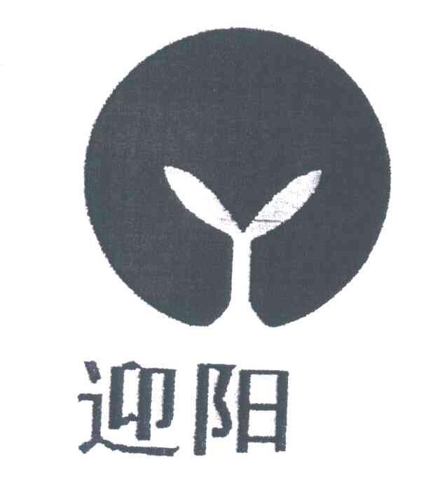 迎阳