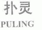 扑灵