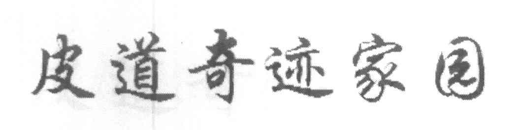 皮道奇迹家园