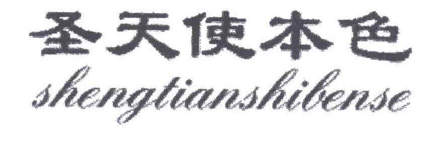 圣天使本色