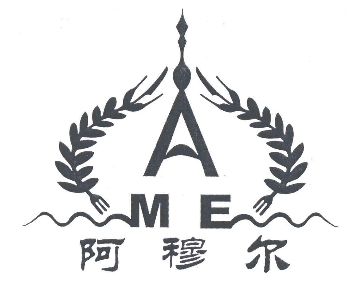 阿穆尔;AME