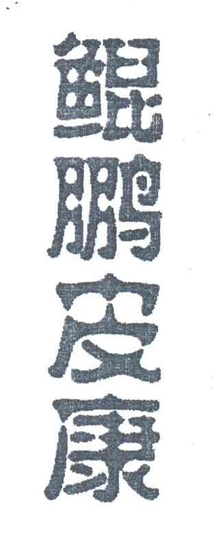 鲲鹏皮康