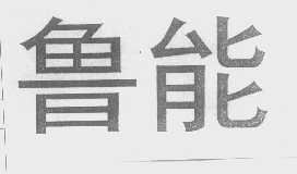 鲁能