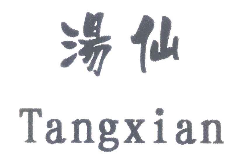 汤仙